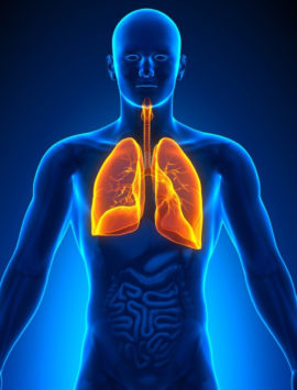 Respiratory Diseases
