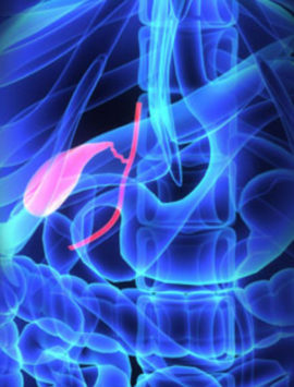 Gall -Bladder Diseases