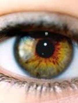 Eye Diseases