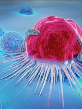 Cancer Diseases