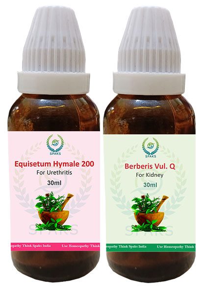 Equisetum Hy. 200, Berberis vul. Q For Urethritis