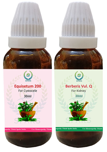 Equisetum 200, Berberis vul. Q For Cystocele